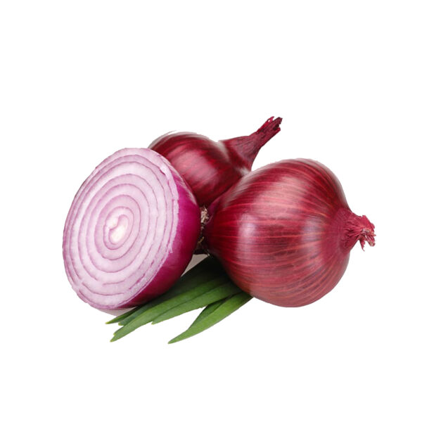Onion Red Organic