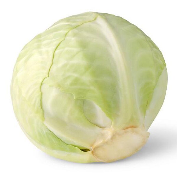 Cabbage White Organic