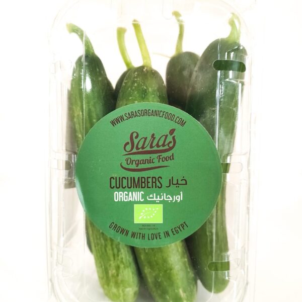 Cucumbers Organic