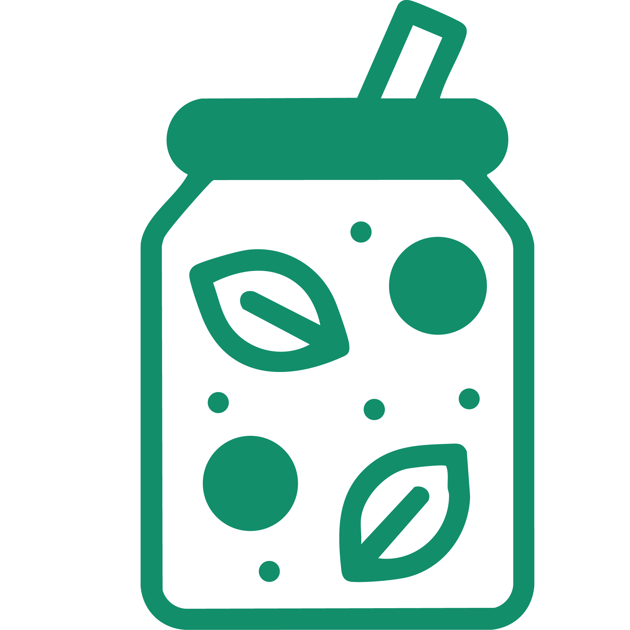 Kombucha & Probiotic