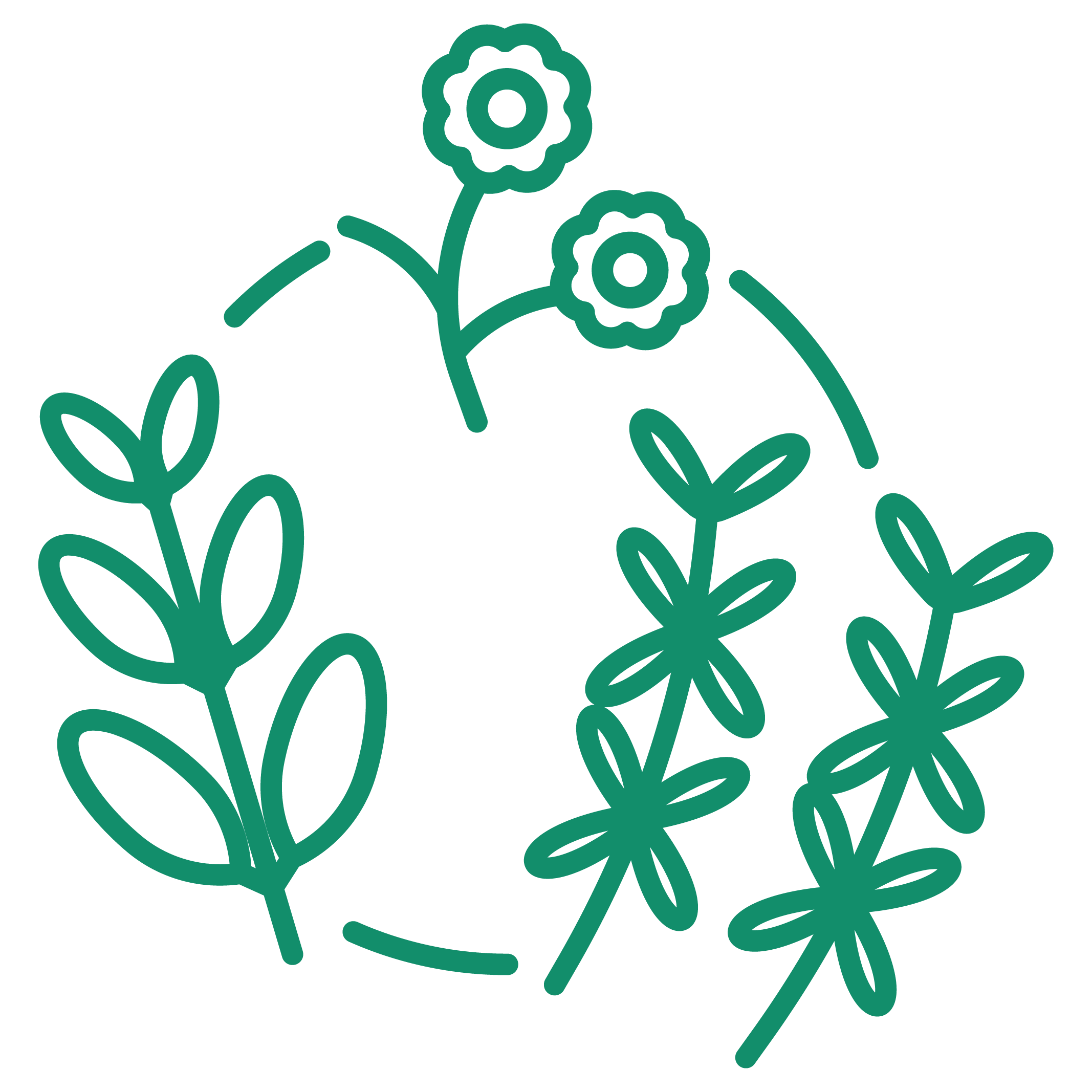 Leafy Greens & Herbs